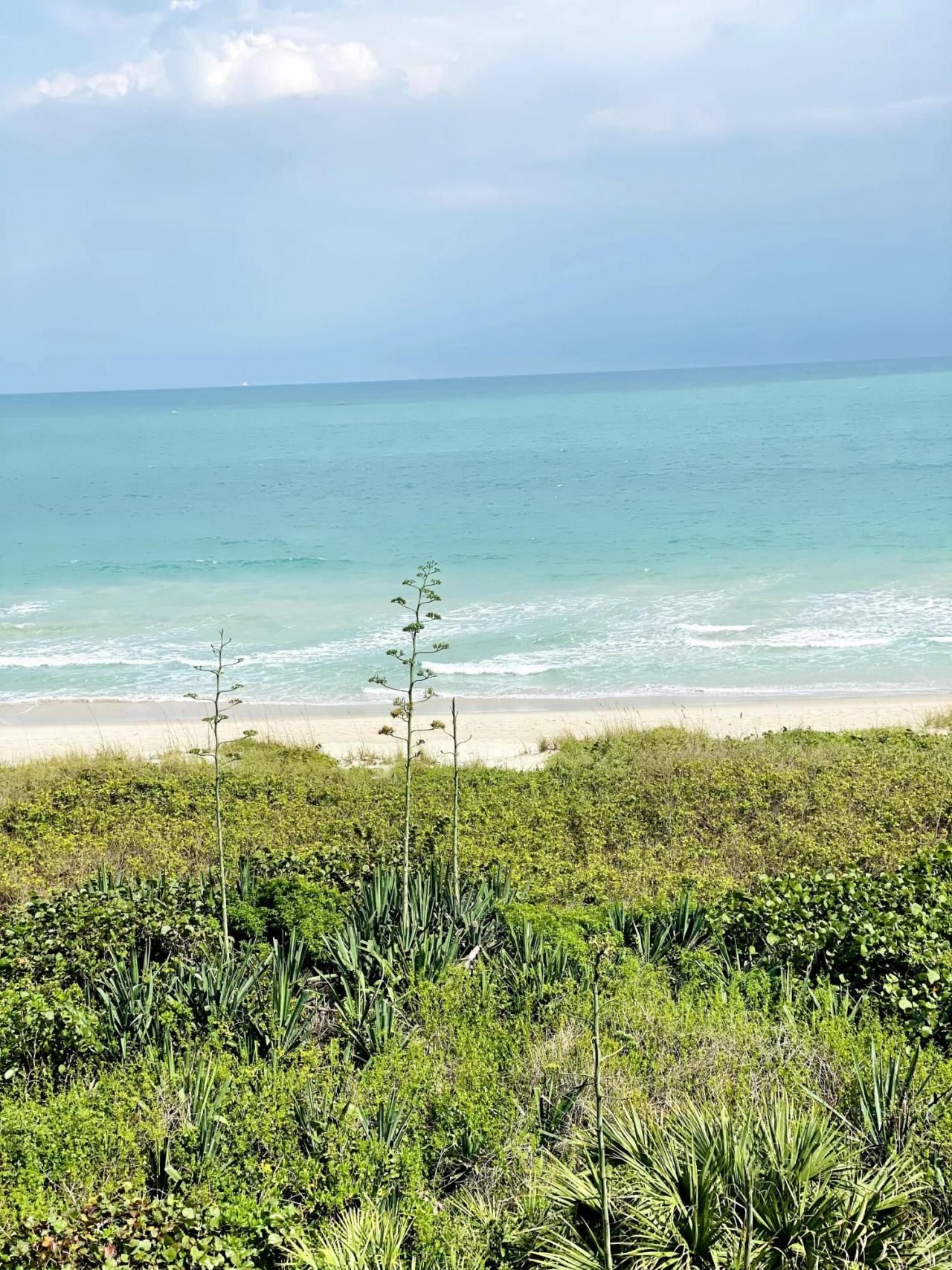4250 N Highway A1a, Unit 503, Hutchinson Island, FL 34949 Photo