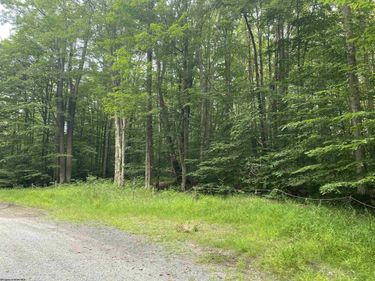 lot 42 Bobcat Road, Davis, WV 26260