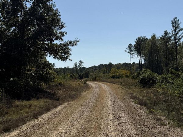 Off Highway 65, Coffeeville, MS 38922