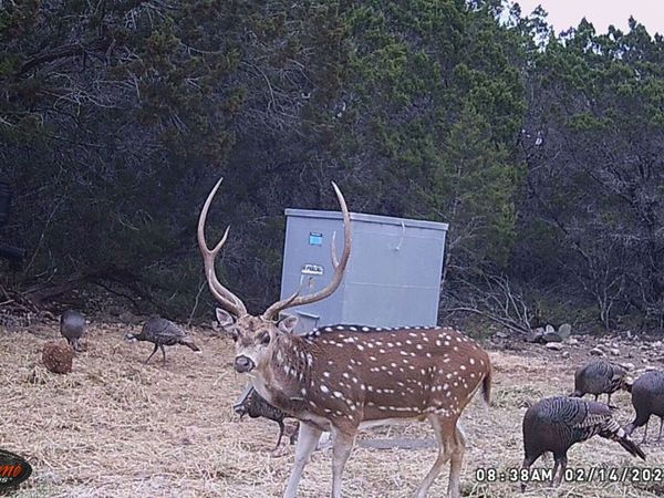 TBD RM 334, Brackettville, TX 78832