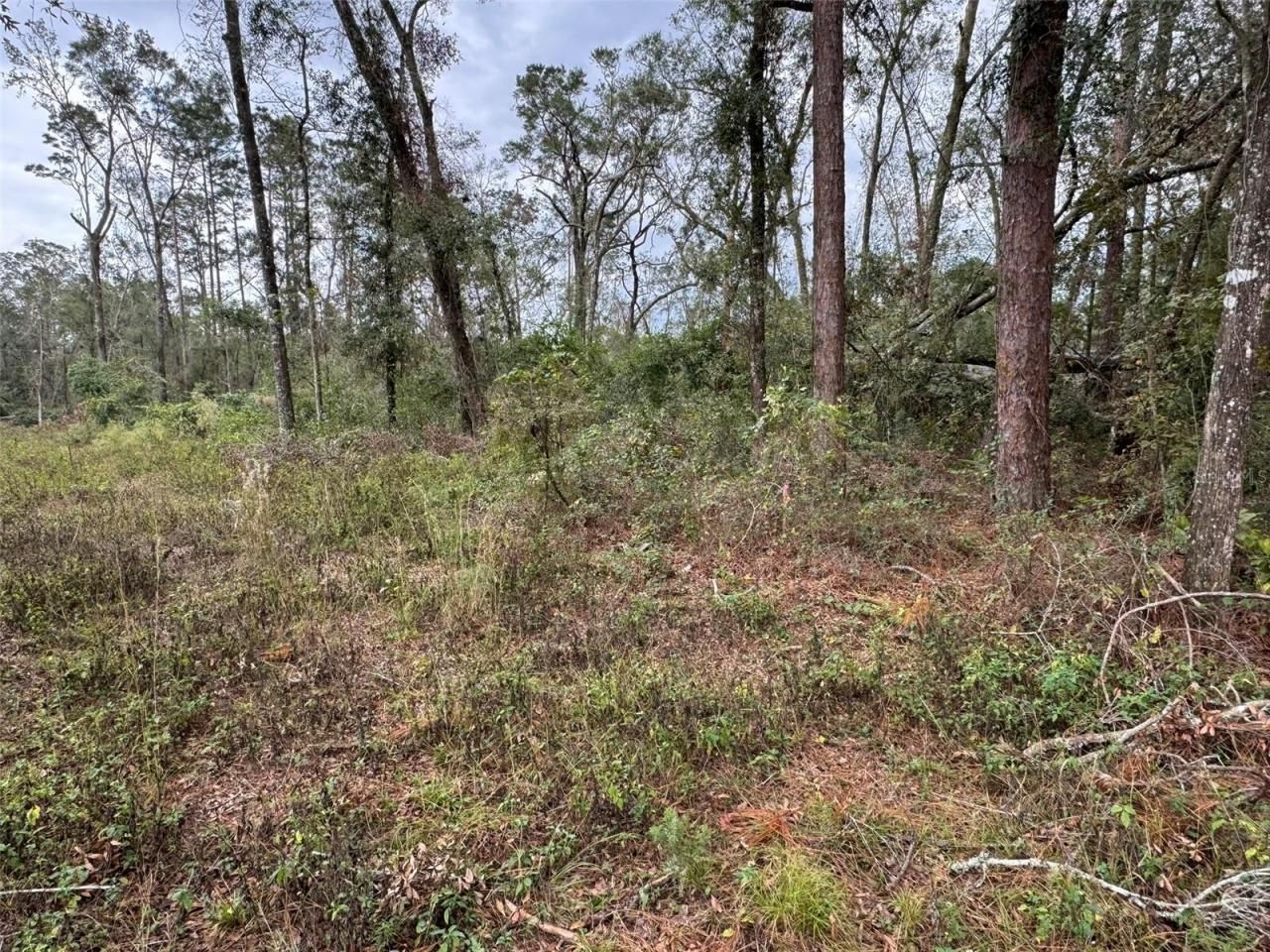 143rd Drive, O Brien, FL 32071 Photo