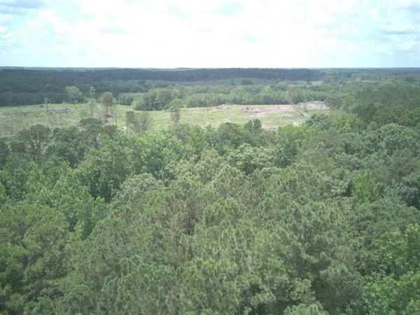 170 Flowers Road, Kilmichael, MS 39747