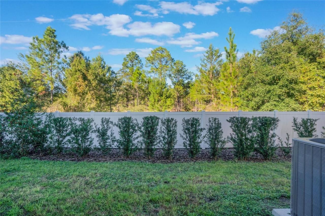 1592 Wynford Circle, Tavares, FL 32778 Photo