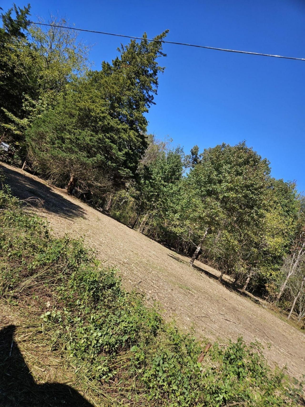 0 Sugar Tree Trail, Birchwood, TN 37308 Main Photo