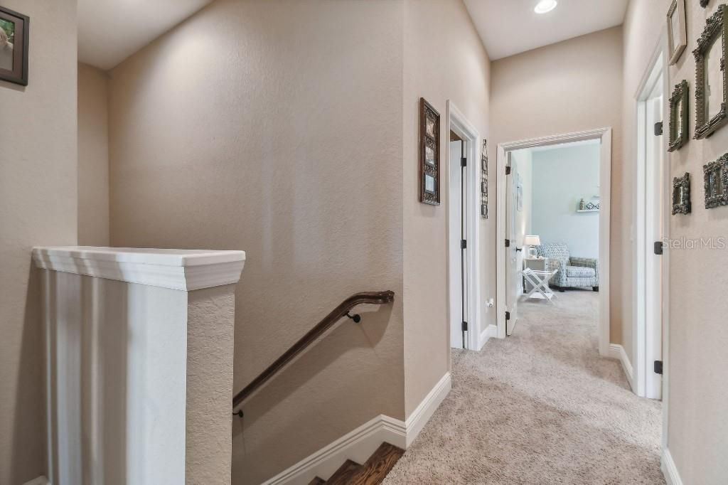 849 John Cressler Drive, Seffner, FL 33584 Photo