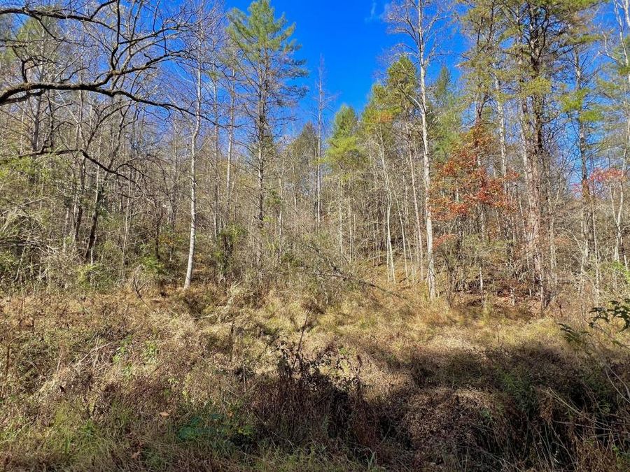 Property Image 16