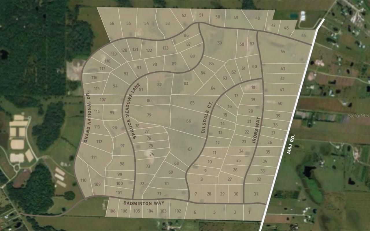 32206 Grand National Drive, Myakka City, FL 34251 Photo