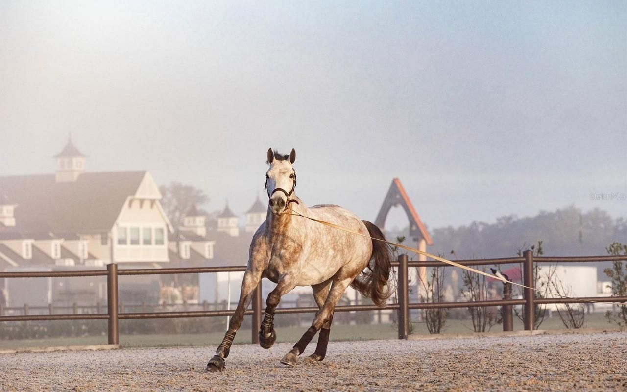 32206 Grand National Drive, Myakka City, FL 34251 Photo