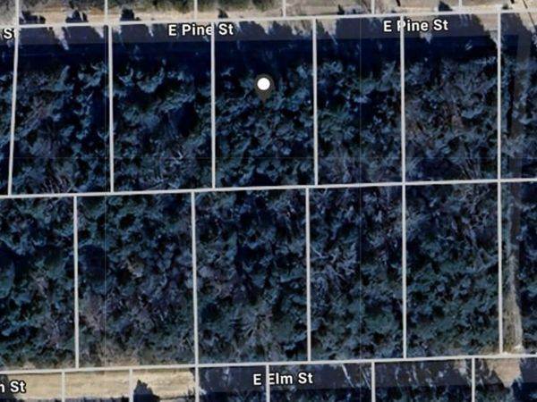 Pine Street, Lead Hill, AR 72644