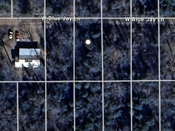 Blue Jay Lane, Lead Hill, AR 72644