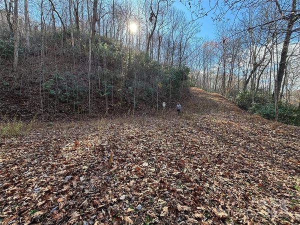 OFF Houston Farm Road, Bryson City, NC 28713