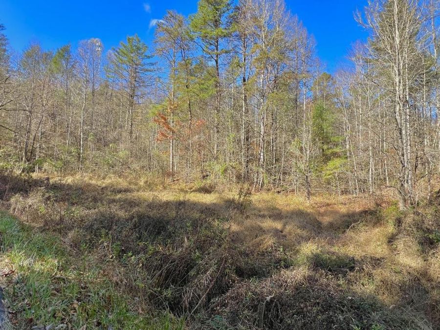 Property Image 17