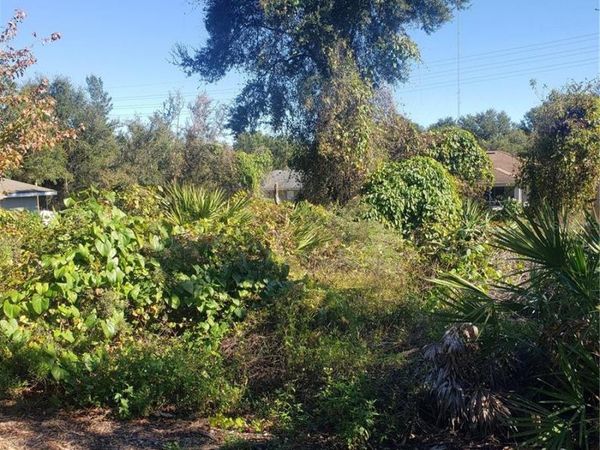 CHESTNUT AVENUE, ORANGE CITY, FL 32763