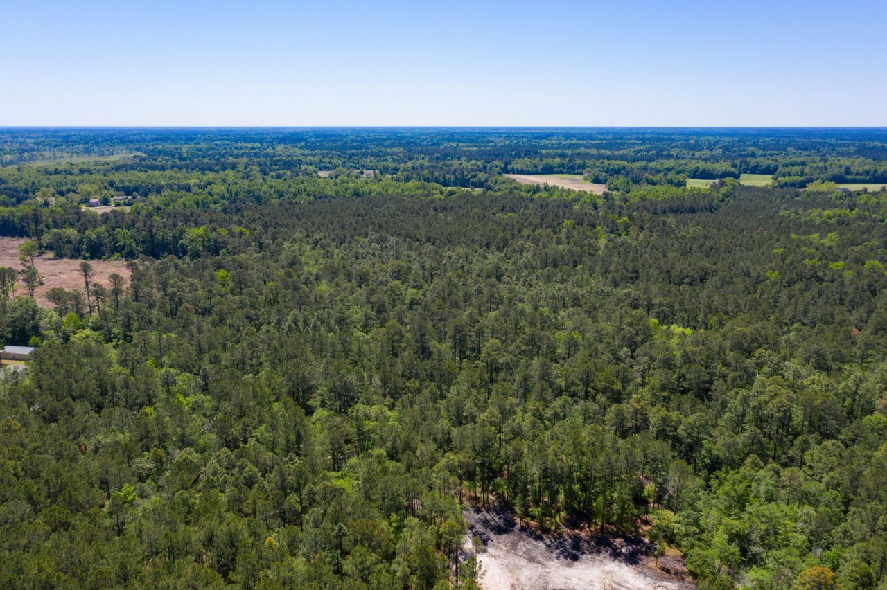 005 Old Spell Road Photo 11