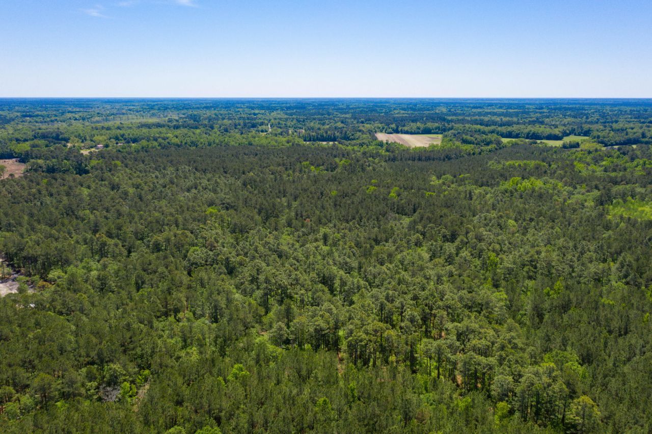 005 Old Spell Road Photo 12