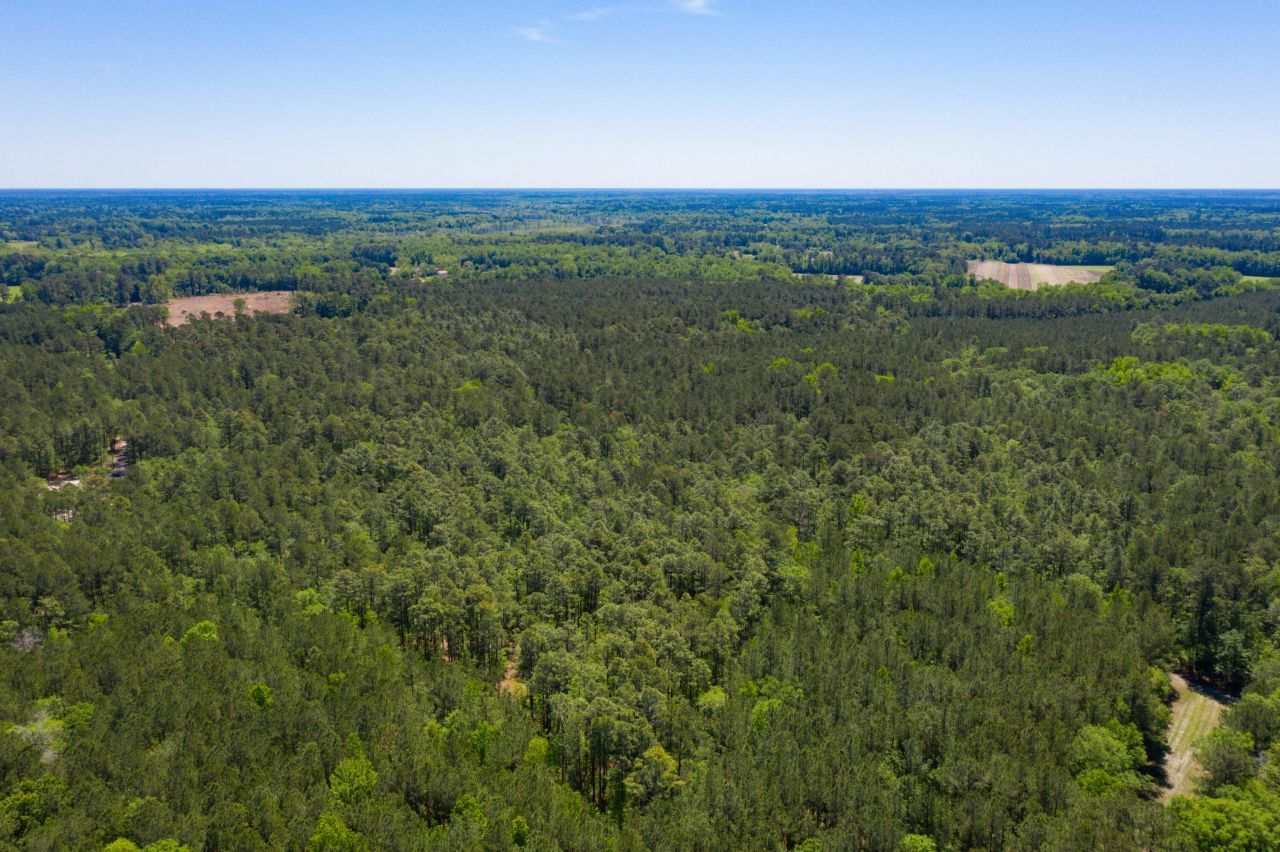 005 Old Spell Road Photo 13