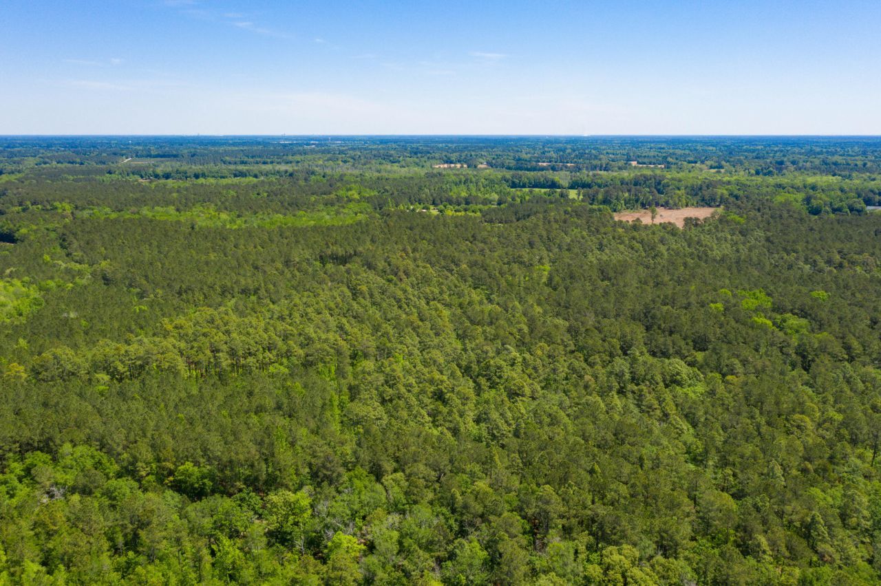 005 Old Spell Road Photo 15