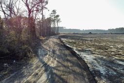 005 Old Spell Road photo 4