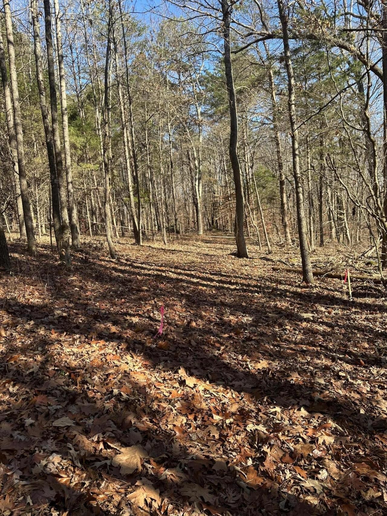 Lot 2 Lower River Road Nw, Charleston, TN 37310 Main Photo