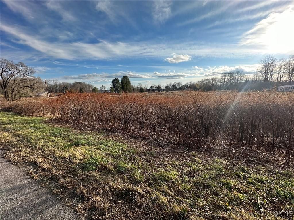 Stokes Westernville Road, Westernville, NY 13486 Main Photo