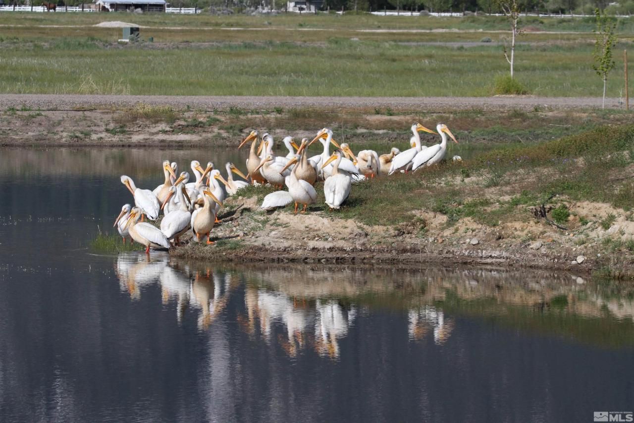 615 W Fork Vista Lane, Gardnerville, NV 89460 Photo