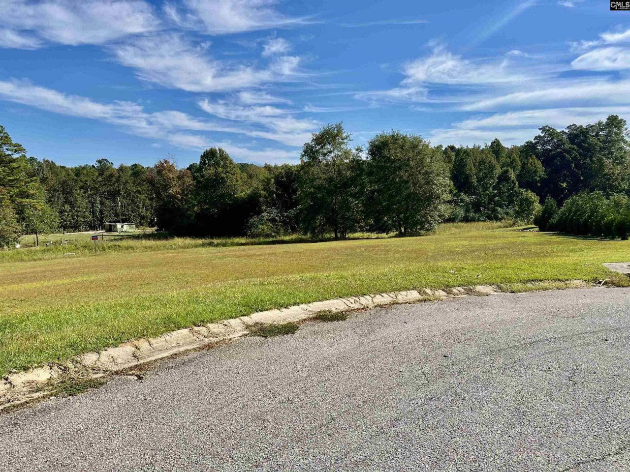 127 Deer Ridge Trail Photo 10