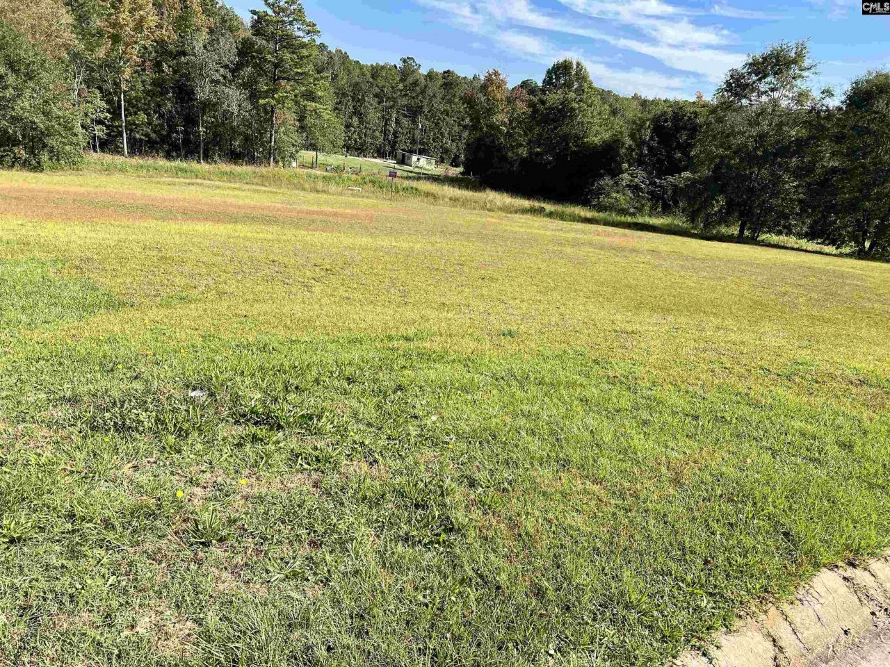 127 Deer Ridge Trail Photo 11