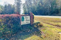 127 Deer Ridge Trail photo 4