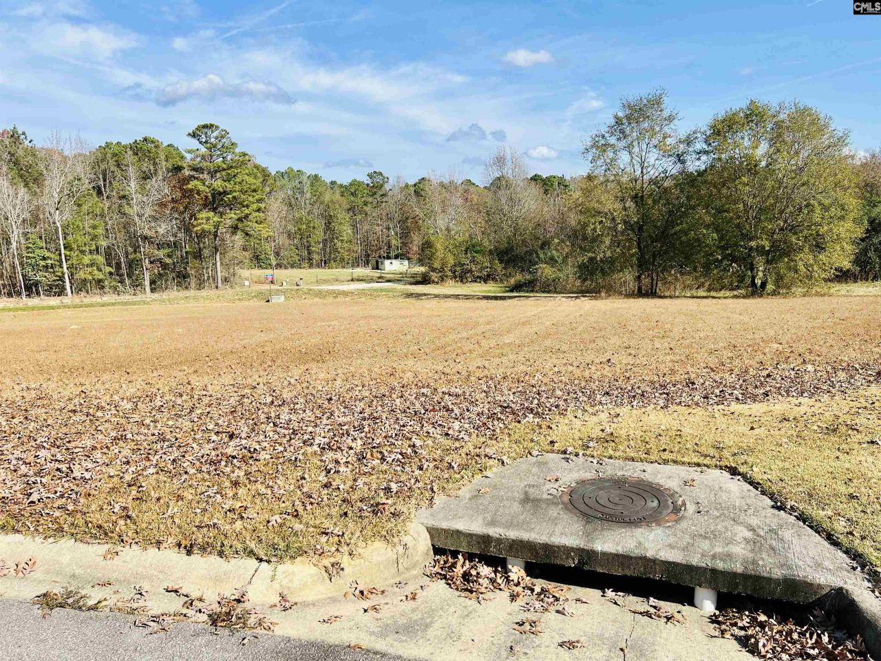 127 Deer Ridge Trail Photo 6