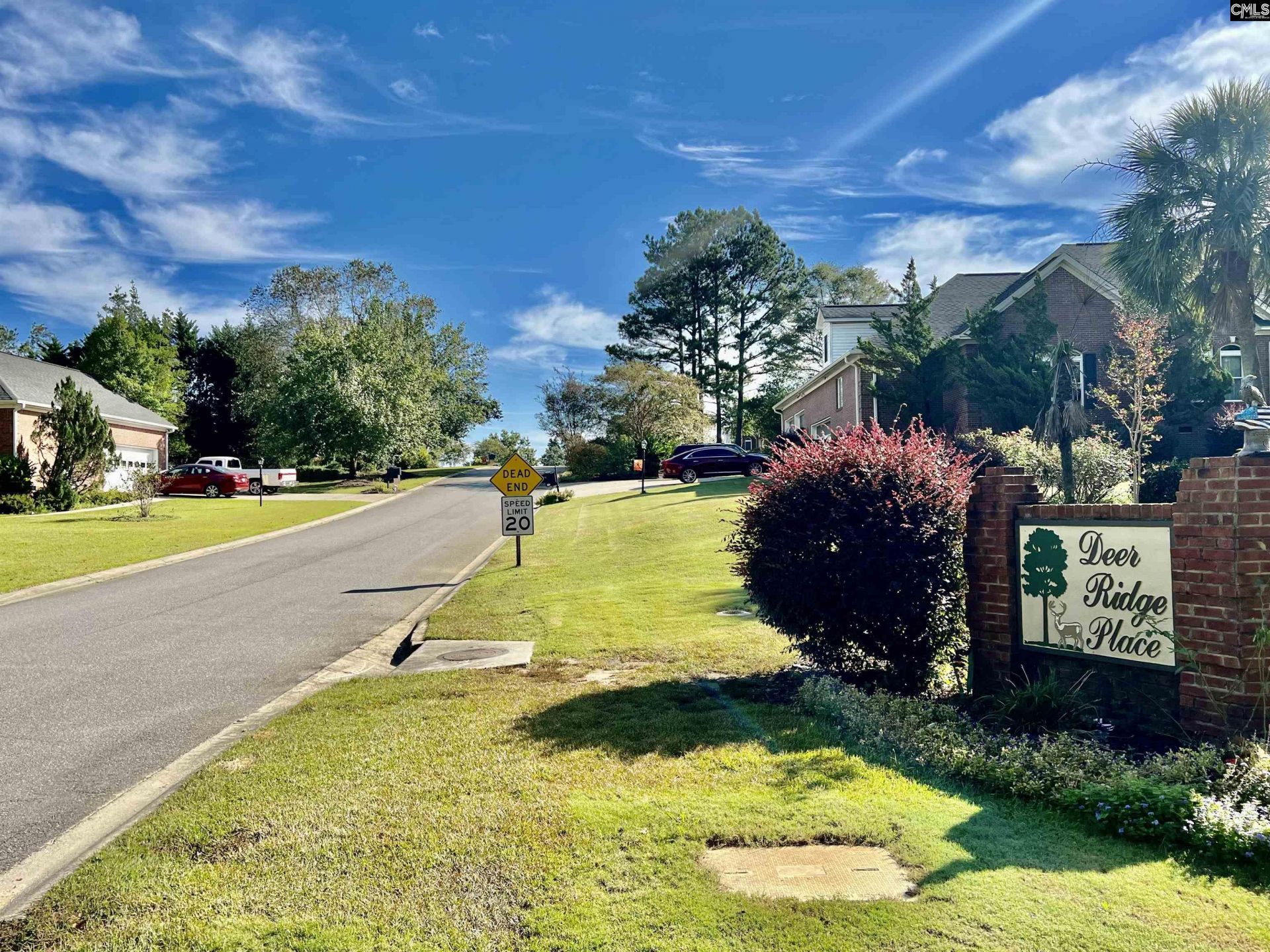 127 Deer Ridge Trail Photo 8