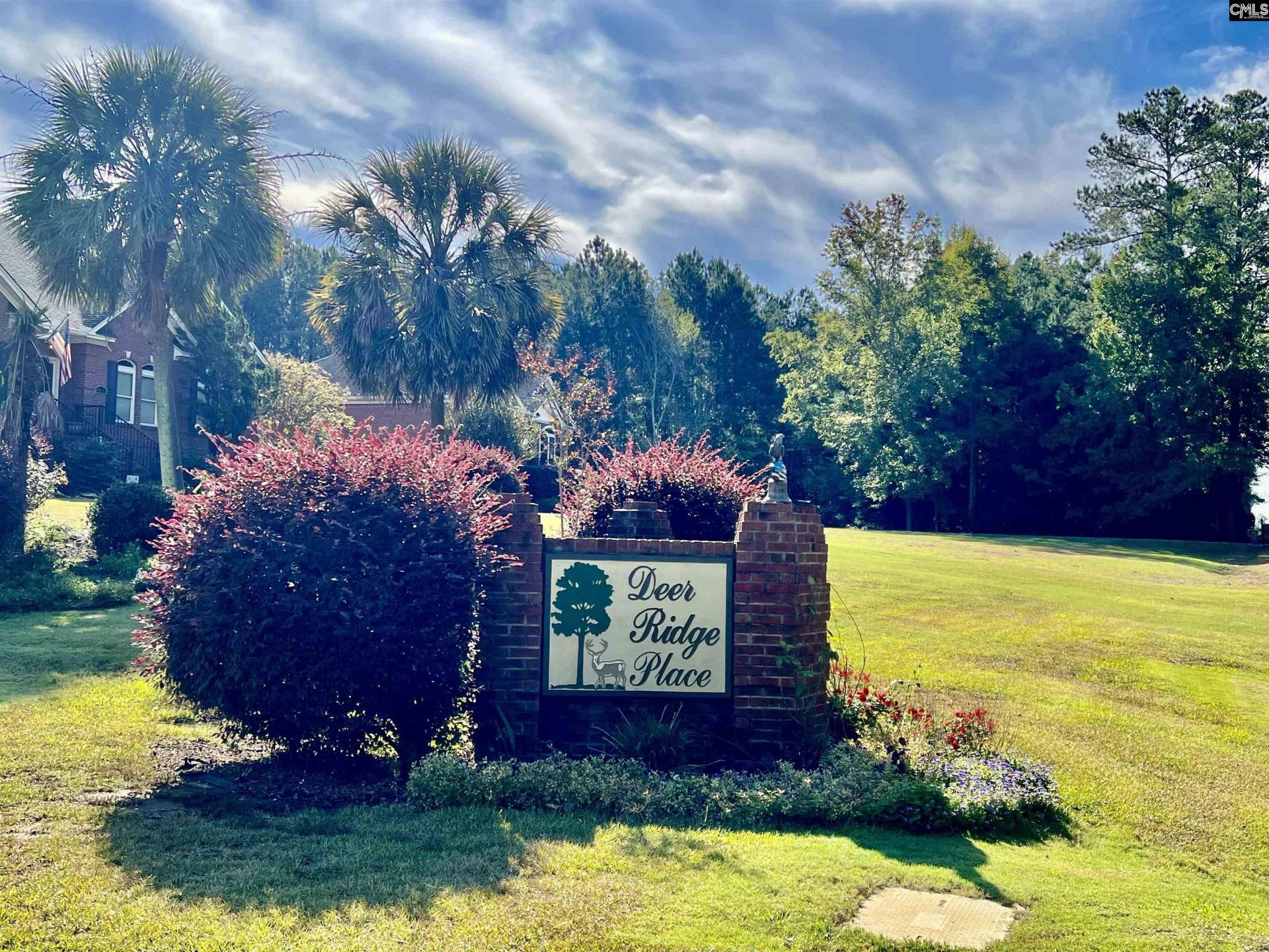 127 Deer Ridge Trail Photo 9