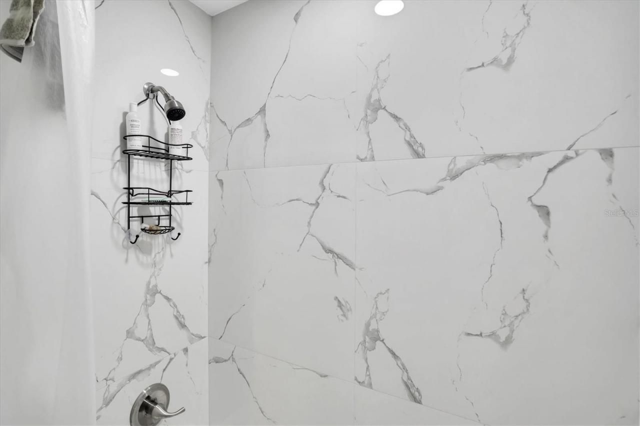 885 Beltrees Street, Dunedin, FL 34698 Photo