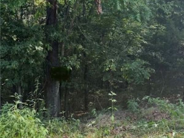 Lot 24 Block 3 Pennine Lane, Bella Vista, AR 72714