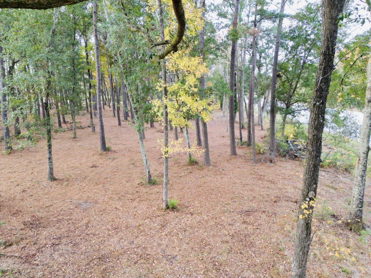 565 Robert Smalls Parkway Photo 40