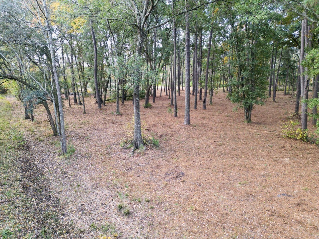 565 Robert Smalls Parkway Photo 41