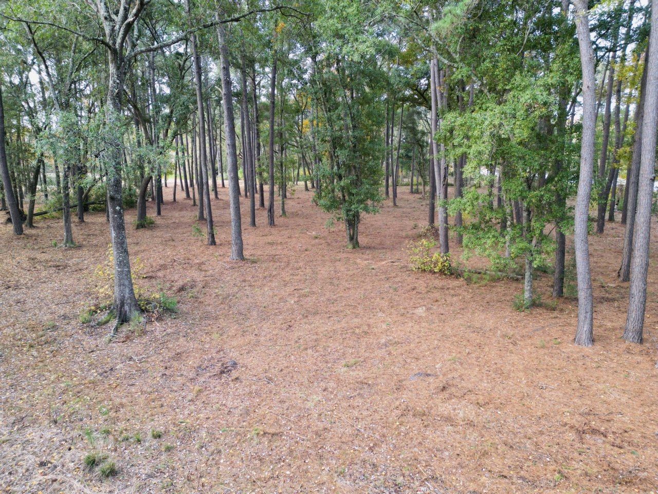 565 Robert Smalls Parkway Photo 42