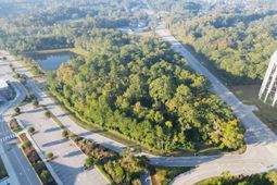 565 Robert Smalls Parkway photo 4