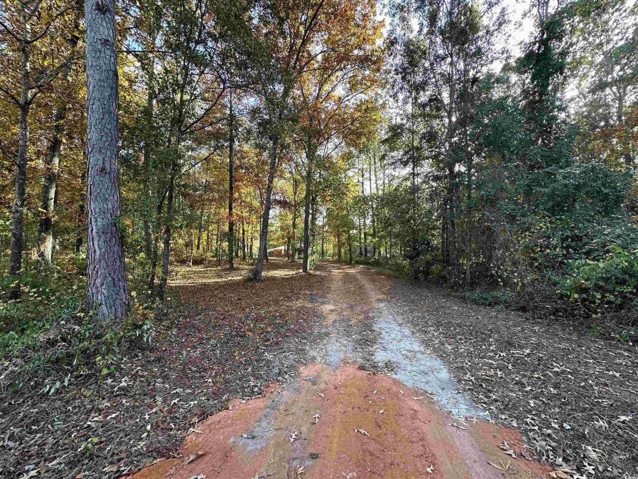 1401 Charles Dr. Photo 16