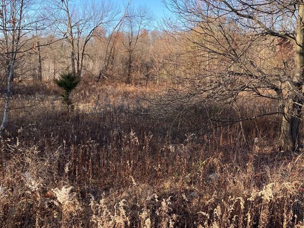 Pocatello Road Pocatello Road, Middletown, NY 12566