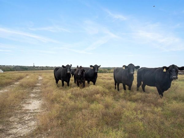 7307 Boswell Court, Lipan, TX 76462
