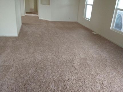 1150 W Winton Ave #541, Hayward, CA 94545 Photo