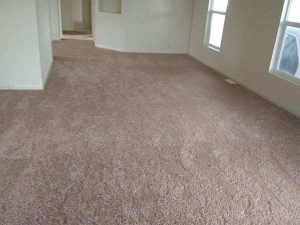 1150 W Winton Ave #541, Hayward, CA 94545