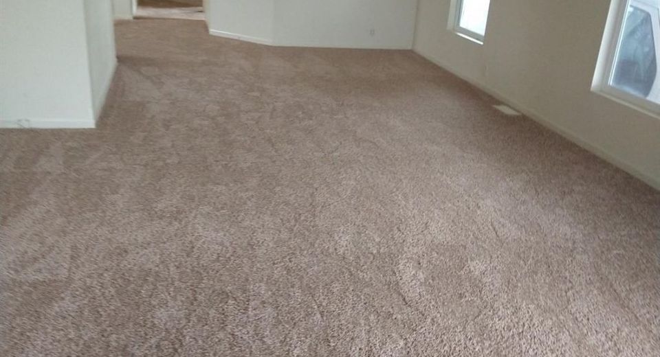 1150 W Winton Ave #541, Hayward, CA 94545 Photo