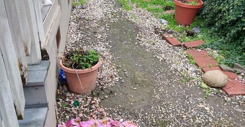 1150 W Winton Ave #541, Hayward, CA 94545 Photo