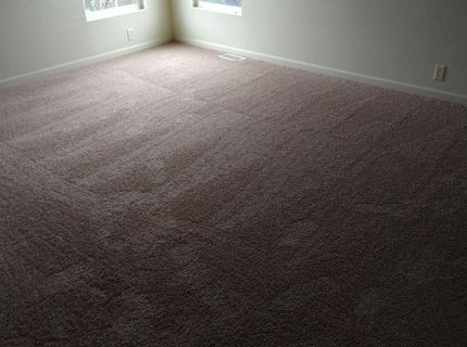 1150 W Winton Ave #541, Hayward, CA 94545 Photo