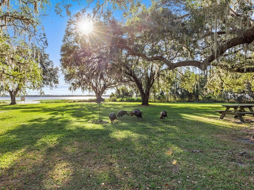 5100 Helen Court, Saint Cloud, FL 34772 Photo