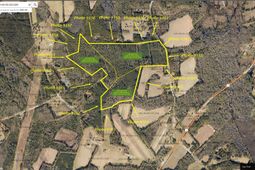 003 Old Spell Road photo 4