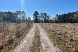 168 Country Downs Lane photo 4