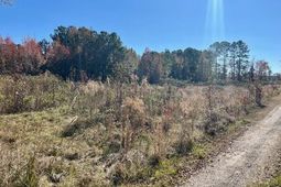 168 Country Downs Lane photo 4