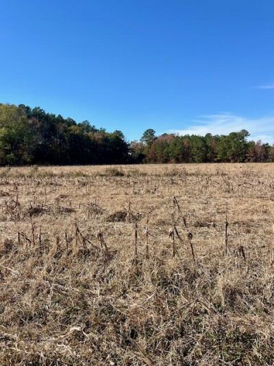 168 Country Downs Lane Photo 4